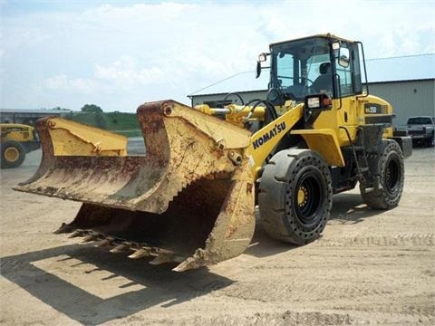 Cargadoras Sobre Ruedas Komatsu WA250