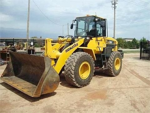 Cargadoras Sobre Ruedas Komatsu WA250