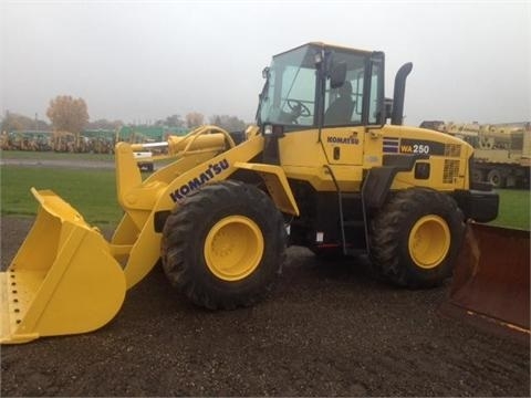 Cargadoras Sobre Ruedas Komatsu WA250