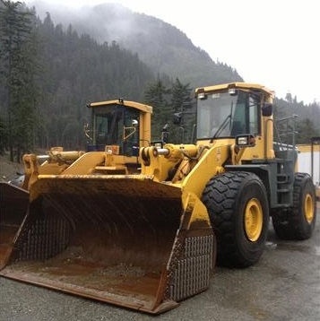 Cargadoras Sobre Ruedas Komatsu WA500