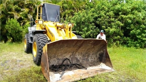 Cargadoras Sobre Ruedas Komatsu WA320