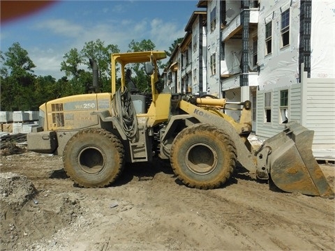 Wheel Loaders Komatsu WA250