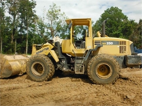 Cargadoras Sobre Ruedas Komatsu WA250