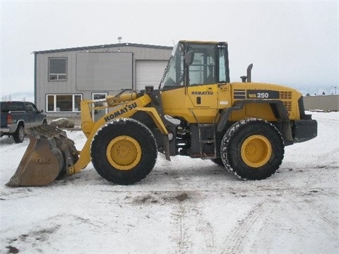 Cargadoras Sobre Ruedas Komatsu WA250