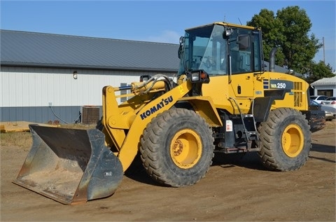 Cargadoras Sobre Ruedas Komatsu WA250