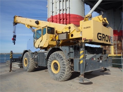 Gruas Grove RT875