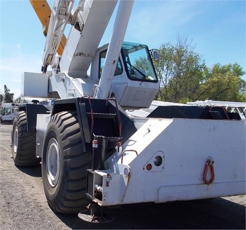 Gruas Terex RT450