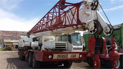 Gruas Grove TM875 de medio uso en venta Ref.: 1416523638186401 No. 2