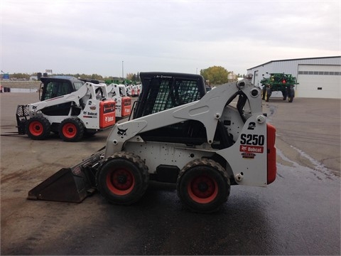 Minicargadores Bobcat S250