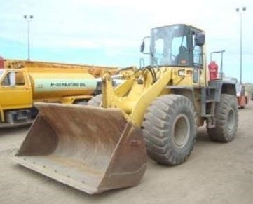 Cargadoras Sobre Ruedas Komatsu WA250