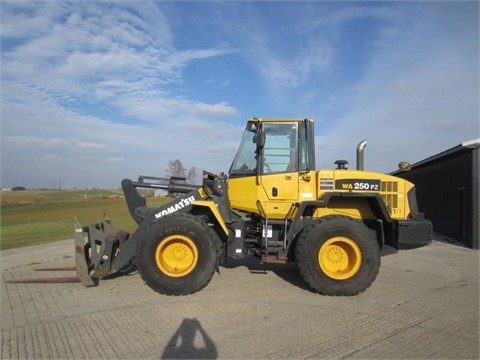 Wheel Loaders Komatsu WA250
