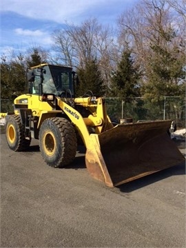 Cargadoras Sobre Ruedas Komatsu WA250