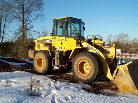 Wheel Loaders Komatsu WA250