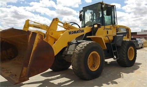 Cargadoras Sobre Ruedas Komatsu WA250