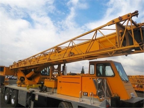 Gruas Terex T335