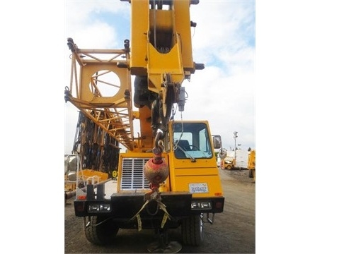 Gruas Terex T335 usada Ref.: 1434038870534005 No. 3