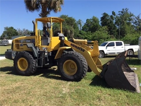 Cargadoras Sobre Ruedas Komatsu WA250