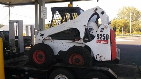 Minicargadores Bobcat S250