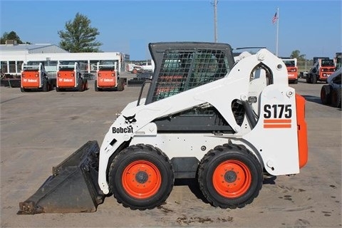 Minicargadores Bobcat S175