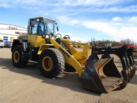 Cargadoras Sobre Ruedas Komatsu WA250