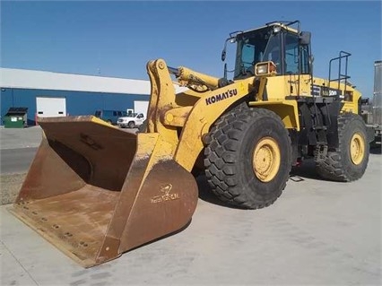 Cargadoras Sobre Ruedas Komatsu WA500