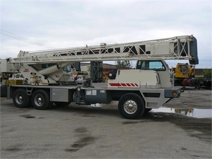 Gruas Terex T335