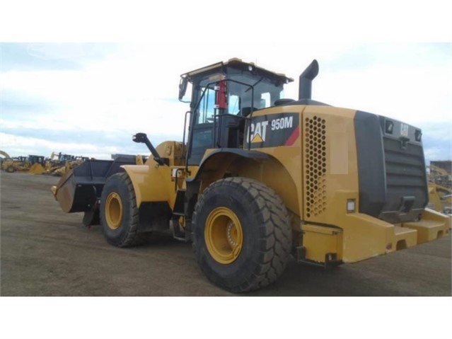 Cargadoras Sobre Ruedas Caterpillar 950 seminueva en venta Ref.: 1492111007881644 No. 3