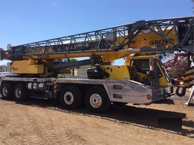 Cranes Grove TMS9000E