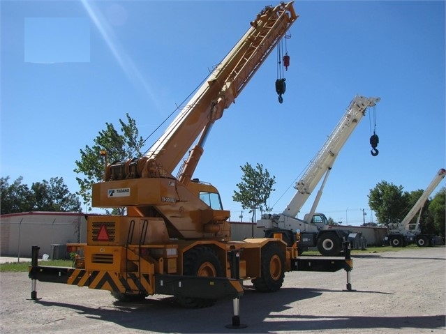 Gruas Tadano TR300 de bajo costo Ref.: 1512061638038432 No. 3