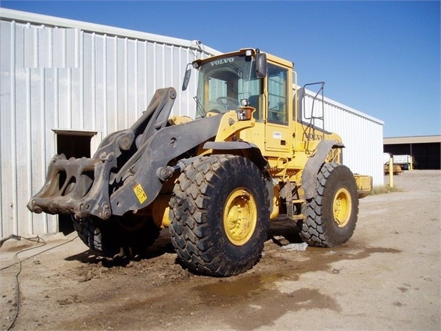 Cargadoras Sobre Ruedas Volvo L110E