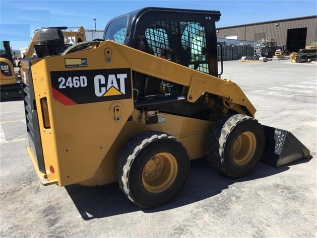 Minicargadores Caterpillar 246D