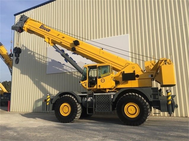 Cranes Grove RT890E