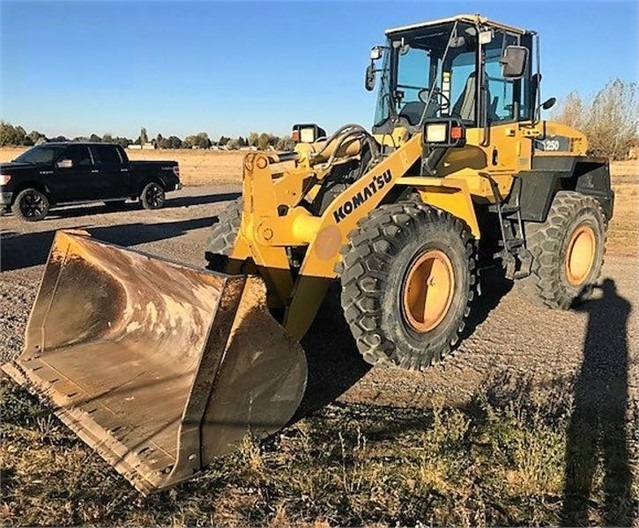 Cargadoras Sobre Ruedas Komatsu WA250