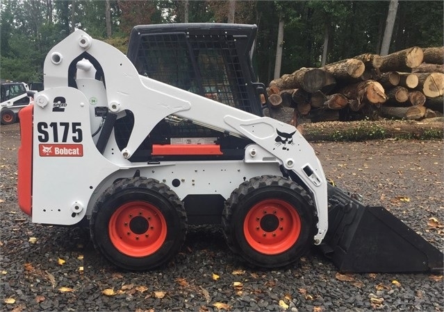 Minicargadores Bobcat S175