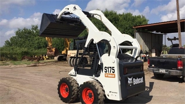 Minicargadores Bobcat S175