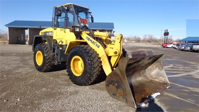 Cargadoras Sobre Ruedas Komatsu WA250