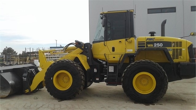 Cargadoras Sobre Ruedas Komatsu WA250