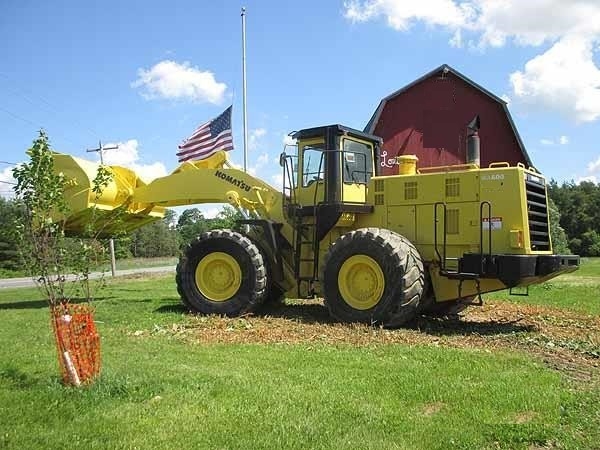 Cargadoras Sobre Ruedas Komatsu WA600