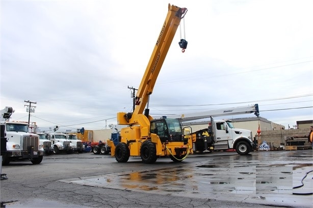 Gruas Manitex M150