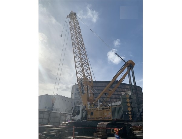 Gruas LIEBHERR HS895HD