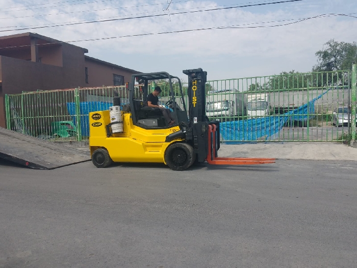 Montacargas Hoist F250 Ref.: 1771424630666682 No. 2